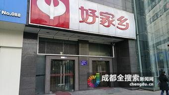 成都最新爆料新闻,揭秘城市热点事件背后的真相